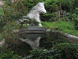 Jardín